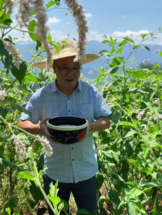 新鲜的辣蓼草做的植物甜酒曲哦#甜酒曲