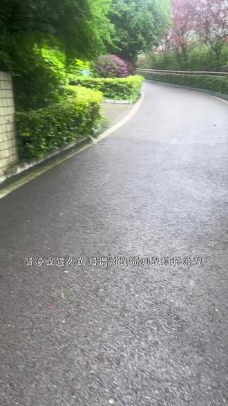 “青春是窗外的梧桐树 是骄阳 是满怀希望” #教育#涪陵信息技术学校#计算机#校园vlog #校园生活