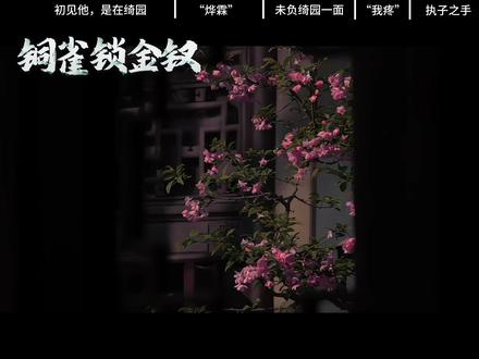 初见他,是在绮园
#铜雀锁金钗 #段烨霖 #许少棠