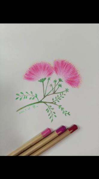 第七集:合欢花
重新发一遍