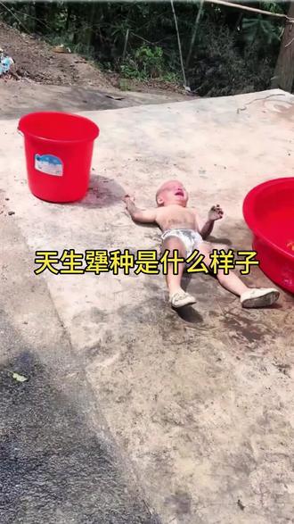 两个的倔驴生了一个惹不起的犟种#犟种#人类幼崽#谁教的娃这么优秀