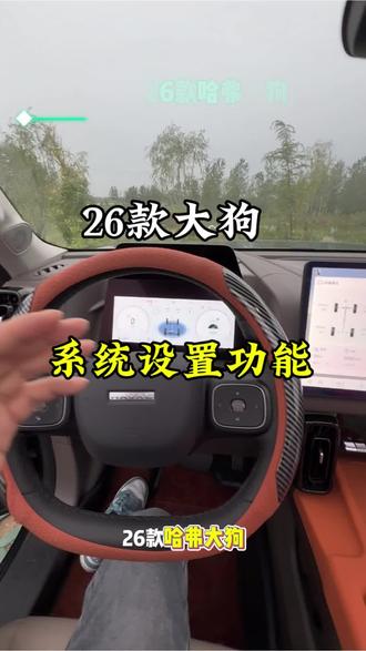 哈弗大狗2026款系统功能设置。#哈弗大狗2026款 #系统功能设置。