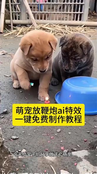 猫咪放鞭炮炸铁盆ai特效生成入口教程,ai点鞭炮被盆盖头特效模板,#ai猫咪放鞭炮#ai炮仗惊飞落顶盆#ai点鞭炮被盆盖头教程#剪映#动物搞笑视频