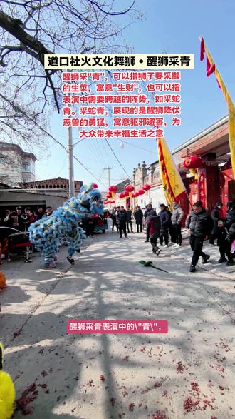 道口古镇第163集:社火文化㊳舞狮•采青。醒狮采青表演中的"青",可以指狮子要采撷的生菜,寓意"生财",也可以指表演中需要跨越的阵势,如醒狮采蛇青。蛇青,又叫毒蛇拦路,讲述的是狮子外出游玩嬉戏,突然看到远处有个"青",不由兴起采食的欲望,刚走没几步,发现一条青色毒蛇横卧路上,要想采食到"青",就必须战胜毒蛇,于是狮子与毒蛇斗智斗勇,最终将毒蛇吃掉。采青,展现的是醒狮降伏恶兽的勇猛,寓意驱邪避害,为大众带来幸福生活之意。采蛇青过程包括望青、惊青、食青等步骤,每一步都充满了惊险和欢乐。采青习俗最早可以追溯到明未清初,起源于中国南方地区,当时具有反清复明的寓意,生菜、青蛇因呈青色,象征着清朝,采青意味着将清朝吃掉,使其灭亡。现代的醒狮采青,寓意生财有道,生意兴隆。#4A景区道口古镇#庙会社火#舞狮#醒狮采青#弘扬和传承中华传统文化