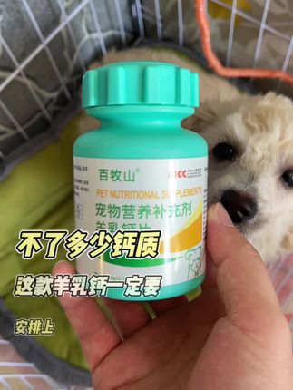 养狗的朋友赶紧来薅这个羊乳钙片的大羊毛#宠物用品 #宠物钙片 #宠物补剂 #养狗经验分享 #科学养宠攻略