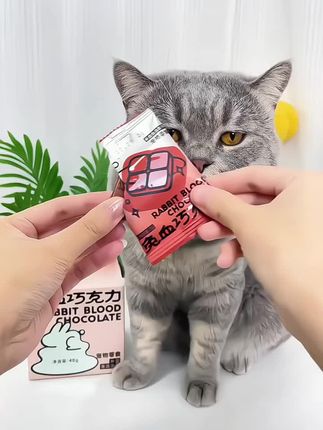 【兔血巧克力】MOJO魔球猫冻干零食犬猫通用补气血猫粮猫咪兔肉冻干#养宠必备 #养猫新手 #萌宠必备 #养宠好物 #萌宠动物