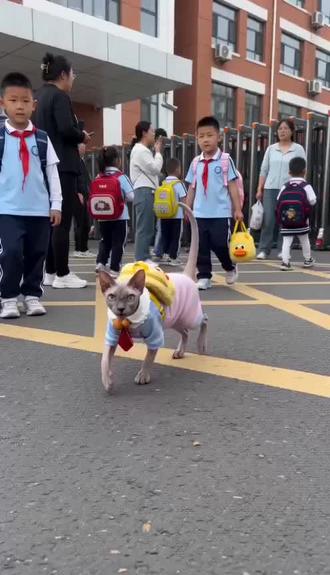 #AI小可爱想吃雪糕