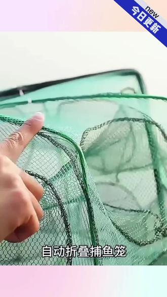 便捷折叠捕鱼笼