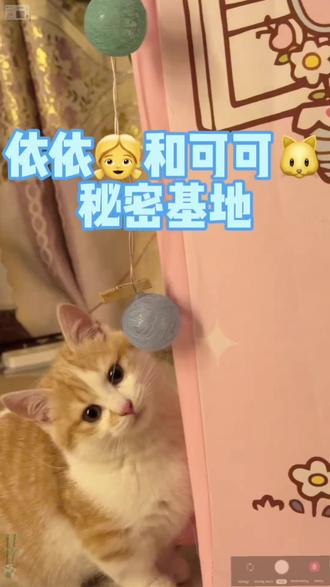 #儿童帐篷 #秘密基地 #日常 为了依依的秘密基地,我连夜搭帐篷!没想到可可也爱惨了,颜值高又透气,娃和猫的快乐我懂了~ #萌宠治愈