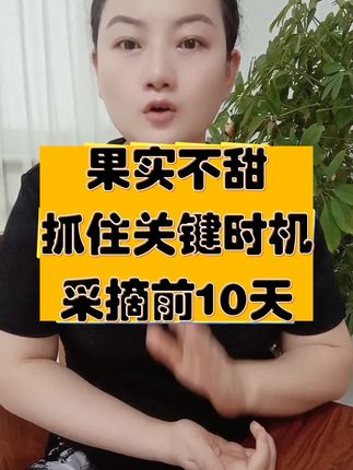 果实不甜,采摘前10天用它,快速增甜!安全有效!#果农的心声 #果树增甜 #增甜上色