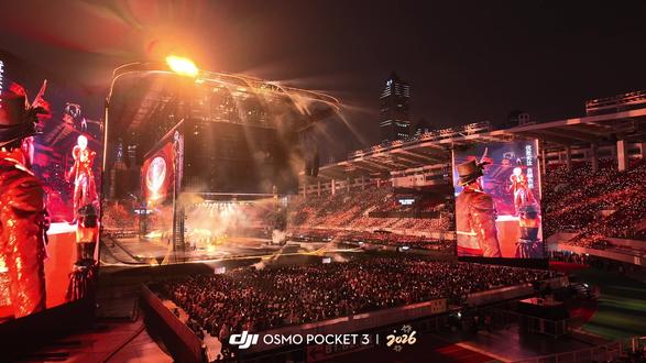 万兽之王分段《动物世界》
#动物世界#薛之谦