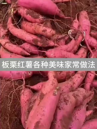 【🍠甜蜜暴击!解锁红薯的N种神仙吃法,香到邻居砸门求教程!🔥】 🌟「你以为红薯只会烤着吃?」 💥【看完这个视频,你的红薯将迎来高光时刻】 #红薯新吃法 #低成本美食 #空气炸锅美食#美食 #板栗红薯