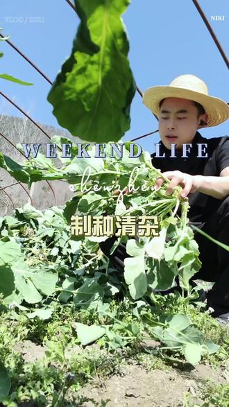 视频中展示的为亲本种子繁殖基地,非常规种子繁殖区域~也是为了向大家传播更多农业知识。#三农热门话题 #禹油35 #油菜