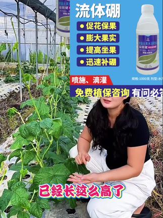 佳福:/ 田流体硼有机硼叶面肥促花膨果保果补充硼元素水溶肥料#优质农产品 #抖音助农扶农 #强烈推荐