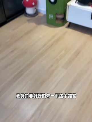 多层猫窝四季通用猫爬架猫树一体猫咪树洞冬天双层抓板封闭式猫屋#好物推荐🔥 #猫窝 #猫爬架#猫咪睡觉姿势
