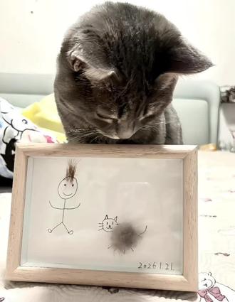 毛发全家福~#相框#手工diy