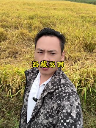 西藏之路返回,准备回家找个工作!