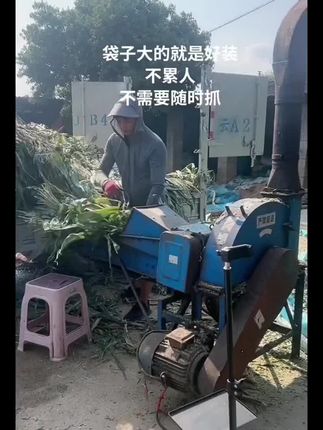 #农村养羊#养牛人#自繁自养