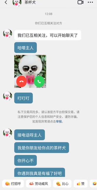 呃#茶杯犬#茶杯犬整蛊朋友#你卖吗你卖吗