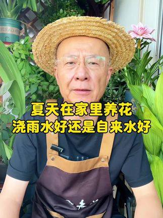 #养花 #花卉养护 #花卉绿植 #养花小知识