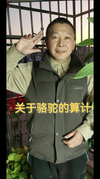 关于骆驼的算计 怎样思读《骆驼祥子》 #语文核心素养和关键能力#名著阅读 #语文阅读理解 #中学语文 #初中语文