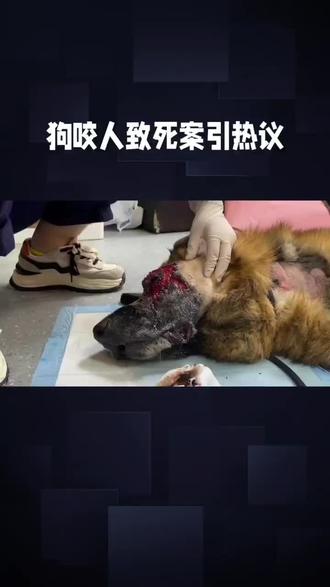 山西长治中院在审理“狗咬人致人死亡案”时,通过公开开庭、全程公开、接受群众监督的举措,展现了司法公开透明的实践,赢得了广泛赞誉,其积极意义可从以下方面分析:
一、案件背景与争议焦点
1. 案件起因
2025年春节期间,长治市一居民因被邻居家的狗咬伤,愤怒之下将狗摔死。狗主人一家多人随后闯入对方家中理论,双方发生激烈冲突,导致狗主人一方一人死亡、三人受伤。案件因涉及正当防卫与故意伤害的界限,引发社会高度关注。
2. 法律争议
• 防卫方(被告):主张对方破门闯入、持械打砸,属于“正在进行的不法侵害”,其挥刀行为系正当防卫。
• 受害方(原告):否认先动手,称仅争吵未攻击,认为被告行为构成故意伤害。
• 核心争议:防卫行为是否“明显超过必要限度”,是否符合《刑法》中正当防卫的构成要件。
二、长治中院公开审理的实践与意义
1. 全程公开,打破“暗箱操作”质疑
• 庭审直播与旁听:法院通过直播庭审过程、允许群众旁听,将案件细节置于公众监督之下,避免“关系案”“人情案”的猜测。
• 证据公开:控辩双方围绕“是否构成正当防卫”展开激烈辩论,关键证据(如伤情鉴定、现场监控、证人证言)逐一质证,确保事实认定经得起检验。
2. 司法透明度的提升
• 法官中立性:公开审理要求法官严格依据法律和证据裁判,减少外界干扰,增强裁判公信力。
• 当事人权益保障:双方均有机会充分陈述观点,被告方辩护权、原告方申诉权得到尊重,体现“程序正义”。
3. 社会效果与法治教育
• 公众参与感:群众通过旁听或直播“零距离”接触司法,增强对法律程序的信任,形成“阳光司法”的口碑。
• 法治宣传:案件涉及正当防卫、邻里纠纷处理等社会热点,公开审理成为普法课堂,引导公众理性维权。
三、社会反响与赞誉
1. 公众认可
• 网友普遍称赞长治中院“敞开大门审案”,认为“公开是公平公正的基础”,呼吁全国法院推广此类实践。
• 旁听群众表示,亲眼见证庭审细节后,对案件结果更易接受,减少了“猜测式评论”。
2. 媒体评价
• 主流媒体肯定公开审理的示范作用,强调其“让公平正义看得见、摸得着”,有助于修复