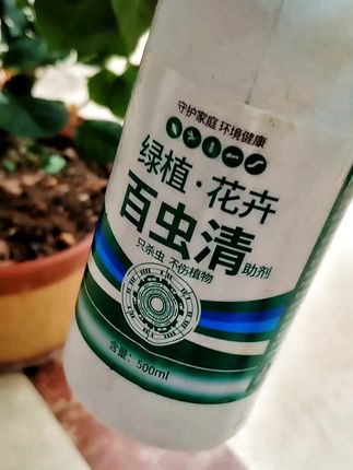 养花卉植物易生虫,就用 这个#百虫清 来喷一喷。#花卉绿 植 #爱生活爱养花#灭虫小灭招#病虫害防治