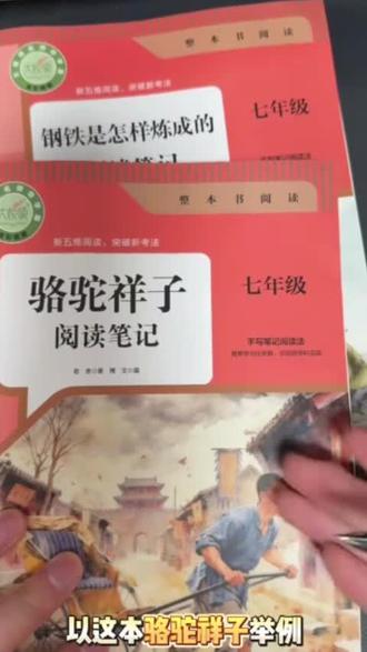 【无删减初中必读名著阅读笔记】七八九年级下册人教版原著完整版#学生党必备#学霸秘籍#学习方法#知识分享#干货分享