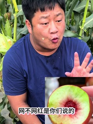 又到了吃桃子的季节,这个露天种植的老品种蜜桃你们别错过哦!脆甜可口,桃香味浓郁,核小肉厚#脆甜多汁 #新鲜采摘 #优质农产品