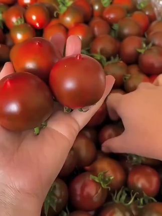 #优质农产品 #新鲜采摘 #纯天然绿色食品 #番茄🍅 #草莓西红柿