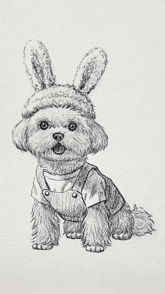 一分钟学会!超简单的画宠物狗方法✿ ◡‿◡✿
#绘画教程 #一起学画画 #画狗 #画小狗 #给毛孩子画张年画