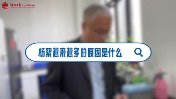 春日飞雪如何治理?这竟然与树的雌雄有关,听听专家到底怎么说。#柳絮 (河南日报社三农全媒体中心记者 孙好闯 赵博)