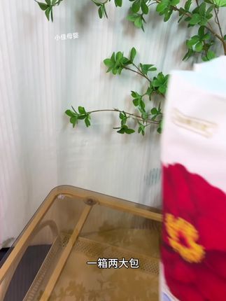 终于等到#宜婴红花山茶裤 来活动啦,这个价到手两大包,刷到的闭眼入#萌娃必备屁粮 #宝妈推荐 #尿不湿#拉拉裤