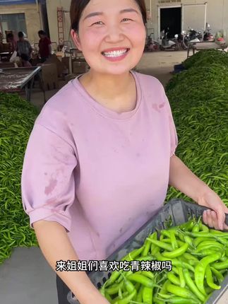 比小米椒辣度低一点的小青椒,每天现摘现发,炒菜凉拌腌辣椒都适合,关键特便宜! #辣椒 #小青椒 #杭椒 #原产地现摘现发