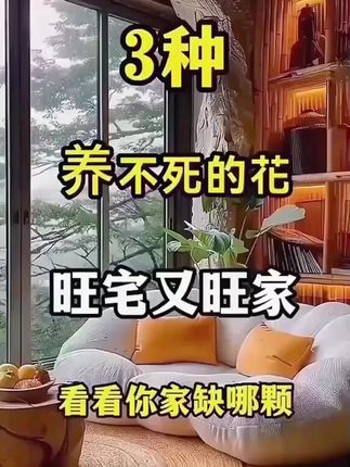 3种养不死的花,旺宅又旺家,看你家缺哪一棵?#金钻绿公主#绿植