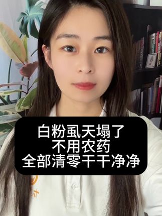 白粉虱天塌了,#白粉虱 #白粉虱的防治方法 #白粉虱防治 #病虫害防治 #佰虱晴
