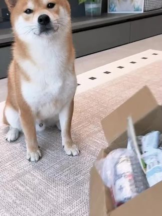 #冻干零食 #宠物零食