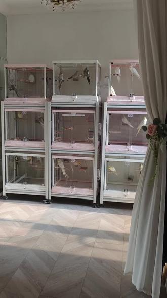 好啦,尺寸和细节都在这里哦!#货架改造鸟笼架 #鹦鹉鸟笼架DIY #玄凤专用鸟笼架 #平价鸟笼架自制