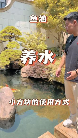 鱼池简单养水 #鱼池水质净化 #锦鲤
漂亮的鱼池水质很有观赏性,简单养水
#锦鲤的饲养方法 #养锦鲤的技巧和方法 #锦鲤怎么养才能养好
@DOU+小助手 @DOU+上热门 @抖音小助手 @抖音作者助手