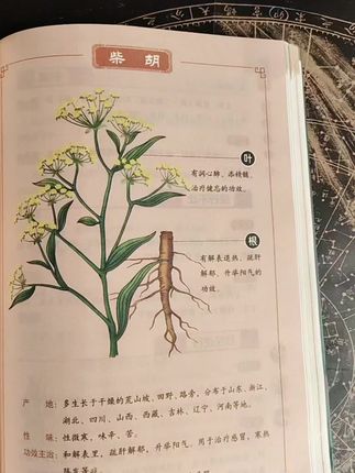 #好书分享 #易学智慧