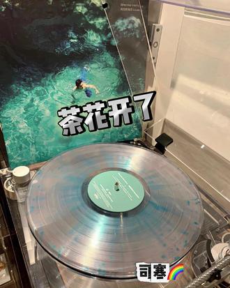 他在思恋什么 每日每夜#茶花开了 #听歌 #音乐 #翻唱