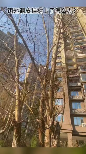 蛋仔派对勾爪盲盒道具钩抓爪子儿童弹簧网红爆款儿童玩具男孩男童#好物推荐#钩爪 #蛋仔派对 #解压