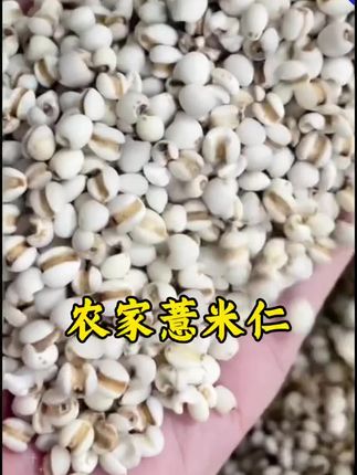 #五谷杂粮 #粗粮 #薏米 #农产品