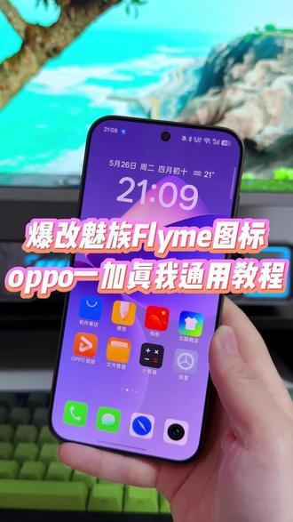 oppo一加真我手机如何体验魅族手机最经典的flyme图标,一个方法教会你如何设置#玩机技巧 #魅族flyme #魅族flyme系统 #oppo玩机技巧