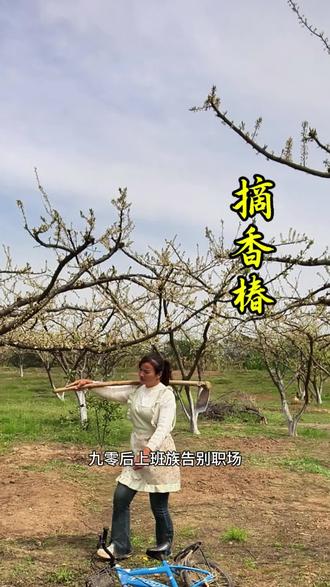 一年一次的香椿发芽了,今天摘了一把,回家做一个香椿炒鸡蛋,还是小时候的味道,#人间观察计划 #回农村的生活 #香椿 #新农人计划