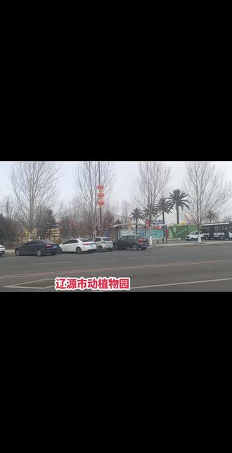 辽源市动植物园(正月初六)