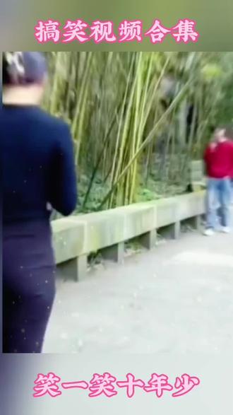 搞笑合集#搞笑 #搞笑视频 #搞笑配音 #每天一笑烦恼忘掉 #看一遍笑一遍 @抖音小助手