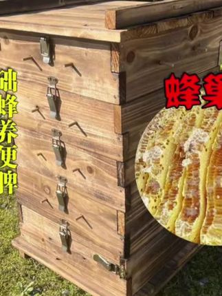 #好物推荐🔥 养蜂专用五层杉木中蜂格子箱诱蜂箱饲喂土养箱巢蜜箱懒人养蜂厚#厂家直发品质保证 #爆款热卖中 @DOU+小助手 @巨量千川