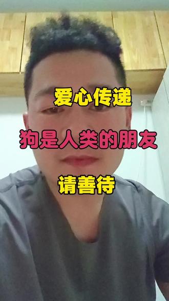 把狗绑车顶是酷刑,不是理解,请善待#高速上的狗狗 #爱护狗狗爱护每一个生命 #善待狗狗有福报 #狗狗的心思都写在脸上了