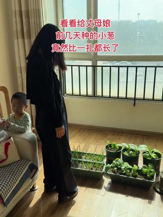 几天就长这么高了。用这种红葱头种的,过不了几天就可以吃了,现在正是种葱的季节,菜友们赶紧整吧,小葱对光照要求不高,特别容易存活!#家庭种植